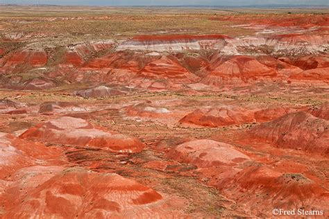 PETRIFIED FOREST NATIONAL PARK - PAINTED DESERT - TAWA POINT - STEARNS ...