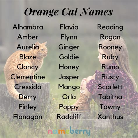 Cat Names Male Unique