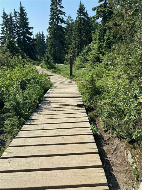 Eagleridge Bluffs via Black Mountain Trail - British Columbia, Canada ...