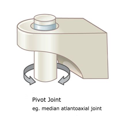 Pivot joint | Radiology Reference Article | Radiopaedia.org