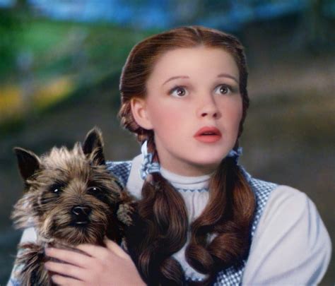 Toto was paid 125 per week while filming the wizard of oz | The Fact Base