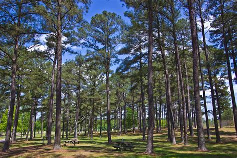 Cullman County Parks & Rec | Smith Lake Park