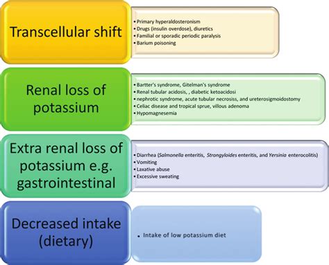 Differential Diagnosis of Hypokalemia Based on Types and Causes of ...