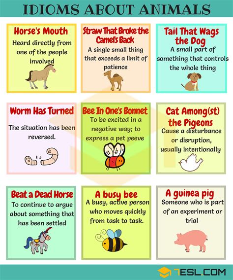 Animal Idioms: 165 Useful Animal Idioms from A-Z • 7ESL