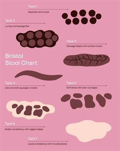 Identifying Types Of Poop With The Bristol Stool Chart And, 54% OFF