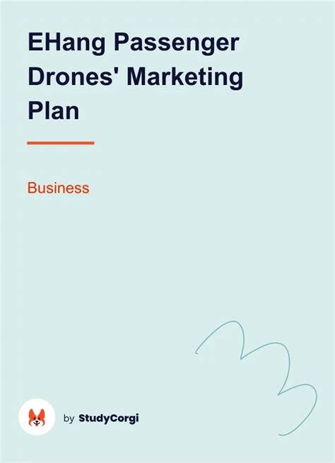 EHang Passenger Drones' Marketing Plan | Free Essay Example