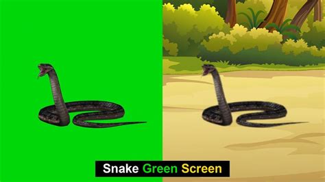 Snake Green Screen Background | Snake Set | Green Background Screen