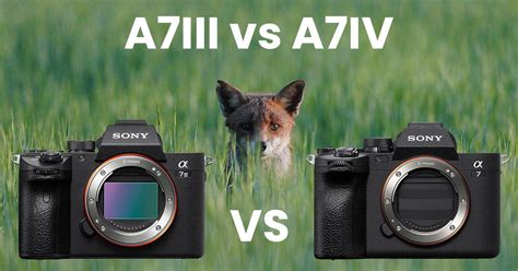 Sony A7III vs A7IV - A Detailed Comparison - Alpha Shooters