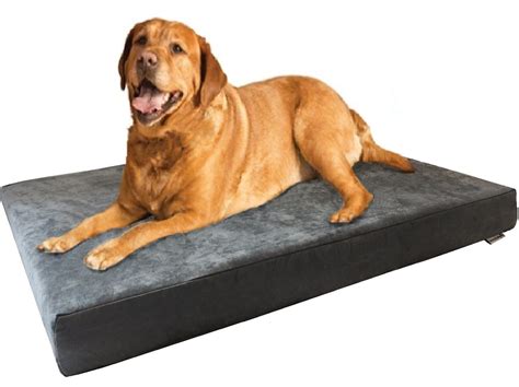 Large Dog Bed Foam at williamcnoldo blog