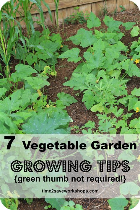 Green Thumb Not Required: 7 Super Vegetable Garden Growing Tips