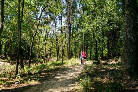 A Guide to the Best Parks in The Woodlands - PaperCity Magazine