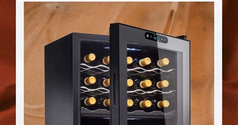 The Best Wine Refrigerators in 2022 | domino