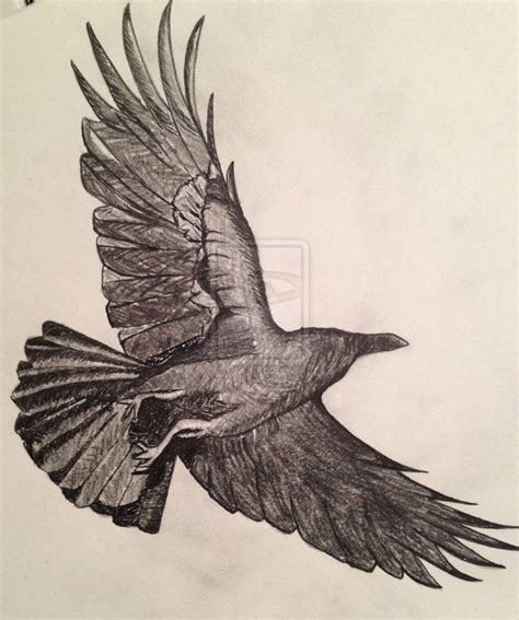 crows flying drawing - Google Search (With images) | Crow flying, Fly ...