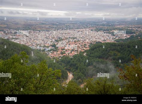 Fall colors in afternoon fog, Xanthi Stock Photo - Alamy