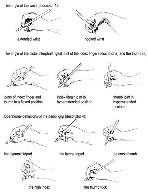 Stages Of Pencil Grip Development