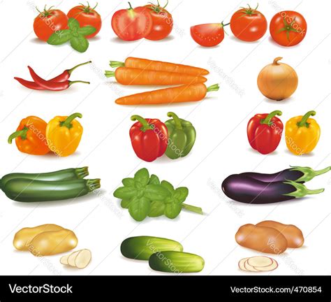 Super group colored vegetables Royalty Free Vector Image