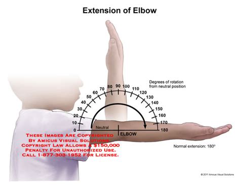 AMICUS Illustration of amicus,anatomy,range,motion,elbow,extension ...