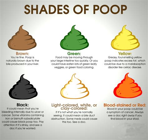 poop chart is your poop healthy see how to read your stool - what your ...