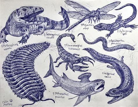 Carboniferous Animals by MickeyRayRex on DeviantArt