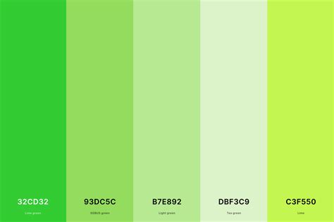 35+ Best Green Color Palettes with Names and Hex Codes – CreativeBooster