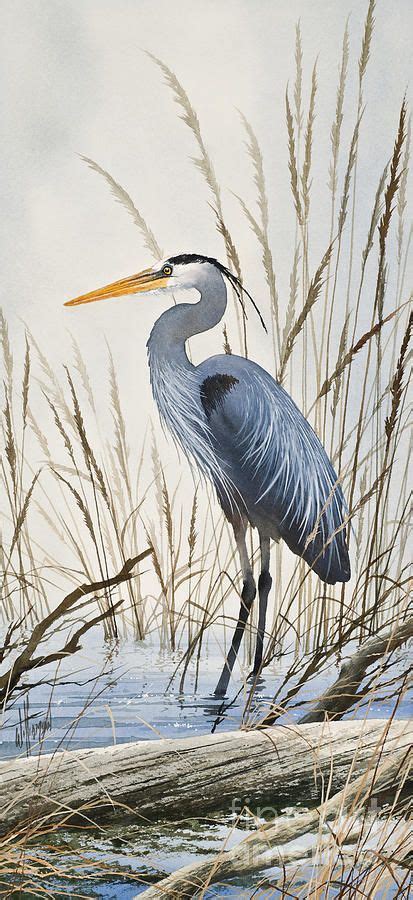 Herons Natural World by James Williamson | Heron art, Nature art prints ...