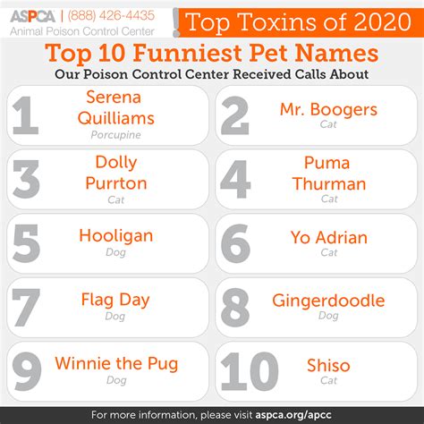 ASPCA Releases Top Ten List of Funniest Pet Names of 2020 - Asheville.com