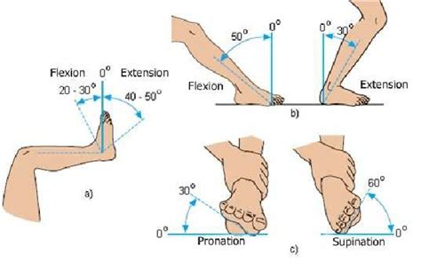 Foot Inversion Range Of Motion