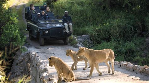 Kruger National Park Luxury Safaris - South Africa