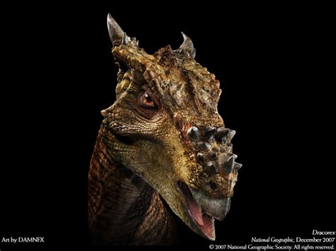 Dracorex Pictures & Facts - The Dinosaur Database