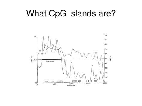 PPT - Sequence analysis of CpG islands reveals possible functional ...