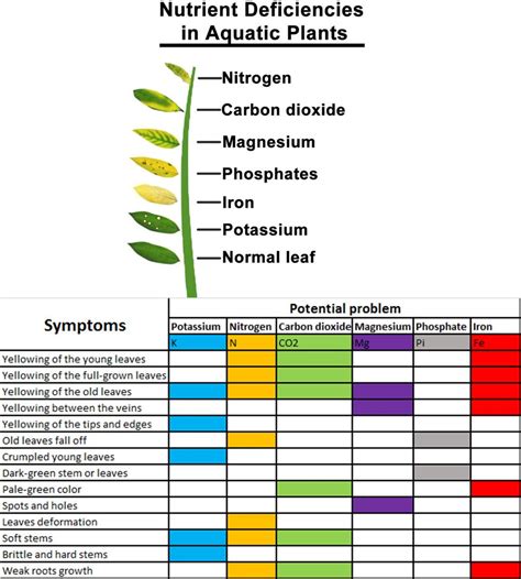 Chart - Nutrient Deficiencies in Aquatic Plants | Aquatic plants ...