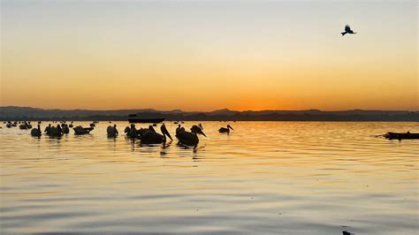 Sunset Cruise on Lake Tana - ethiopian travel adventures