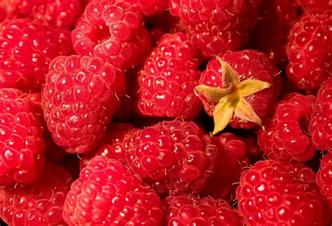 Rasili Raspberry And Metres Are Indian Varieties Of Which Crop – Raspberry