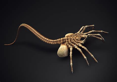 c4d facehugger alien