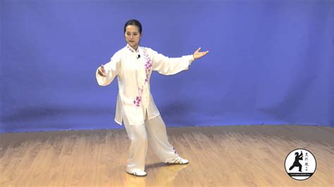 Yang-style Tai Chi 24 Form Instructional DVD taught by Master Amin Wu ...