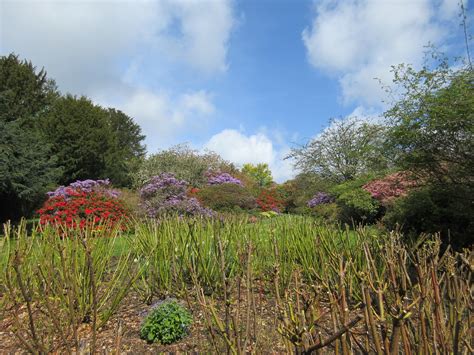 BRECHIN CASTLE GARDENS 28-04-2019 12-08-00 | Plantaholic Sheila | Flickr