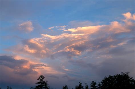 Free picture: dawn, clouds, sky, trees