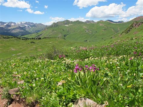 THE 10 BEST Aspen Hiking Trails (2024) - Tripadvisor