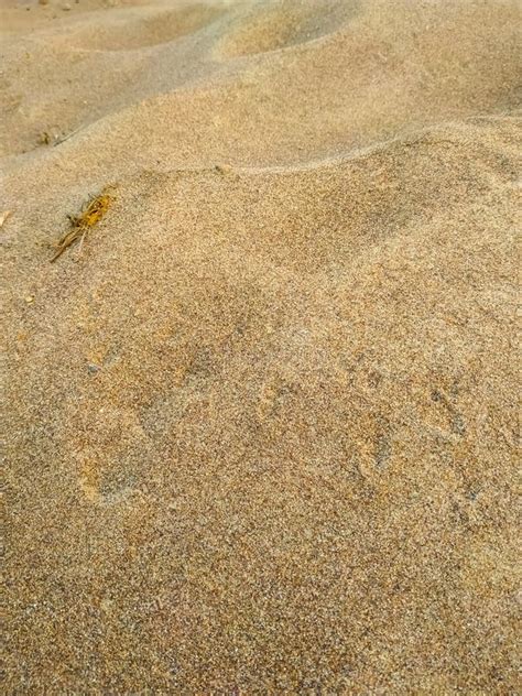 Close Up of Beach Sand Texture Background Abstract Stock Image - Image ...