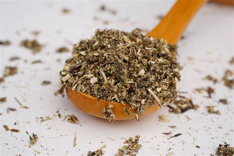 Mugwort Tea - Herb Store - Herbal Tea And Extracts