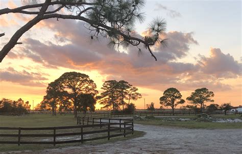 Ranch_Sunset | Ever After Farms