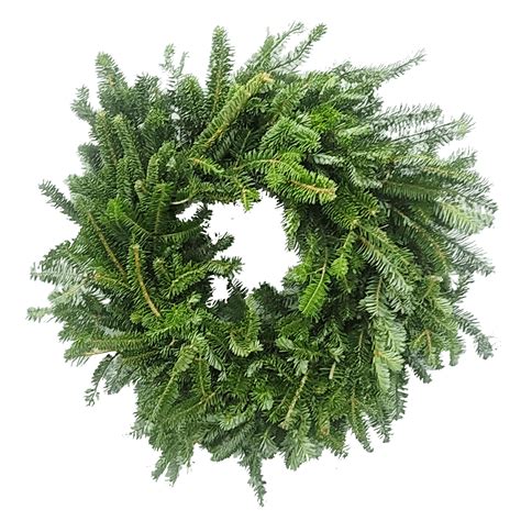 20" Fresh Plain Fraser Fir Wreath | Van Putte Gardens