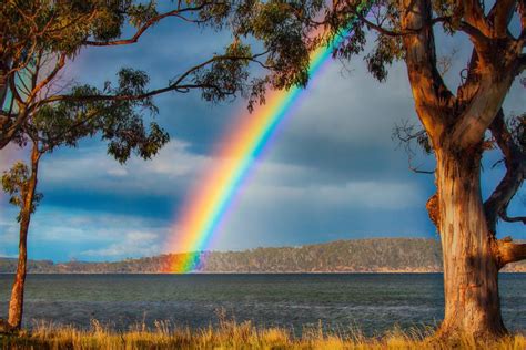 Why Hawaii has the best rainbows on the planet • Earth.com