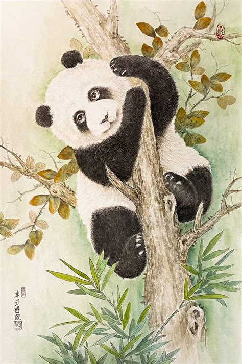 Pandas Drawing