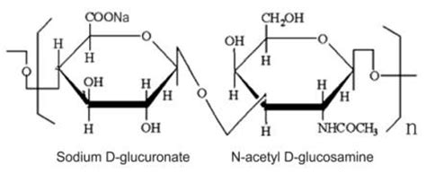 mucopolysaccharide - definition - C'est Quoi