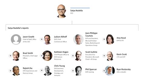 Organizational Structure Of Microsoft - Image to u