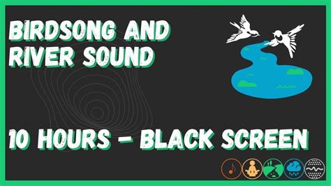 Birdsong and River Sound: A Relaxing Combination | 10 hours | Black ...