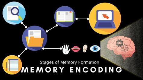 Memory Encoding Storage Retrieval