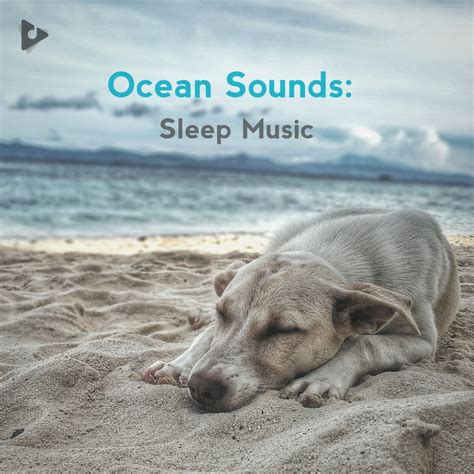 Ocean Sounds: Sleep Music Playlist | Lullify