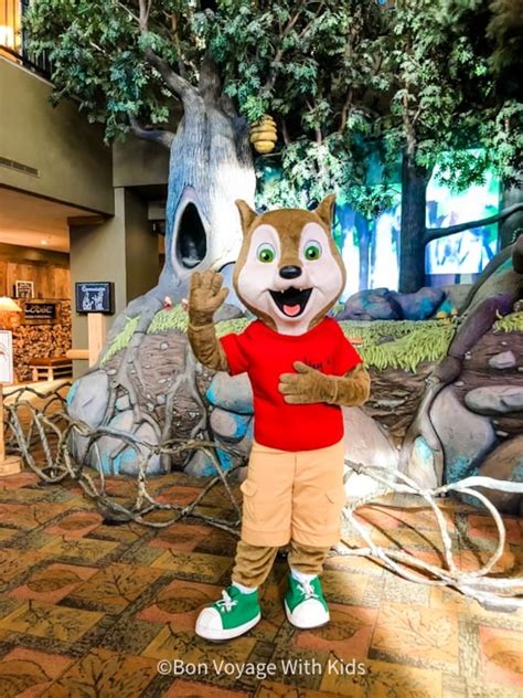 Great Wolf Lodge Massachusetts Family Resort: All You Need To Know ...